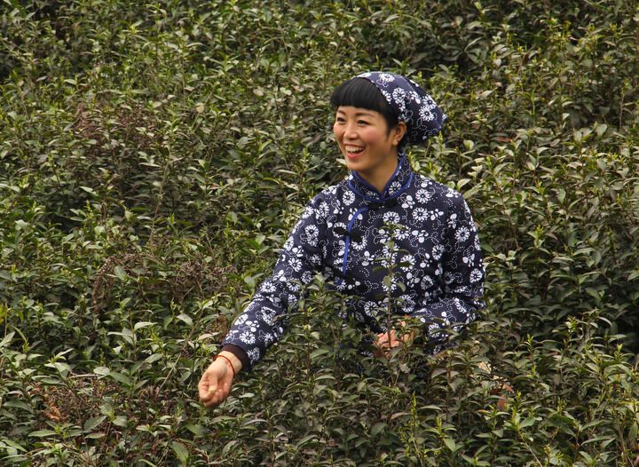 嘴唇直播下载 致命香烟
